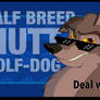 Balto's Message to other dogs