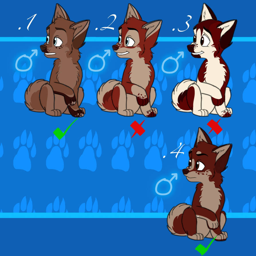 Balto x Jenna's puppies up for adoption! by JennROSS101 on DeviantArt