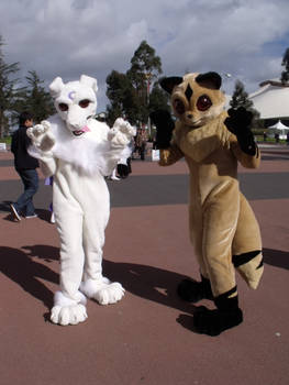 Manifest2010: Fursuits