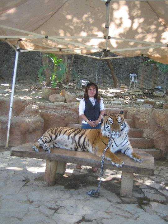 lool by xMidget on DeviantArt