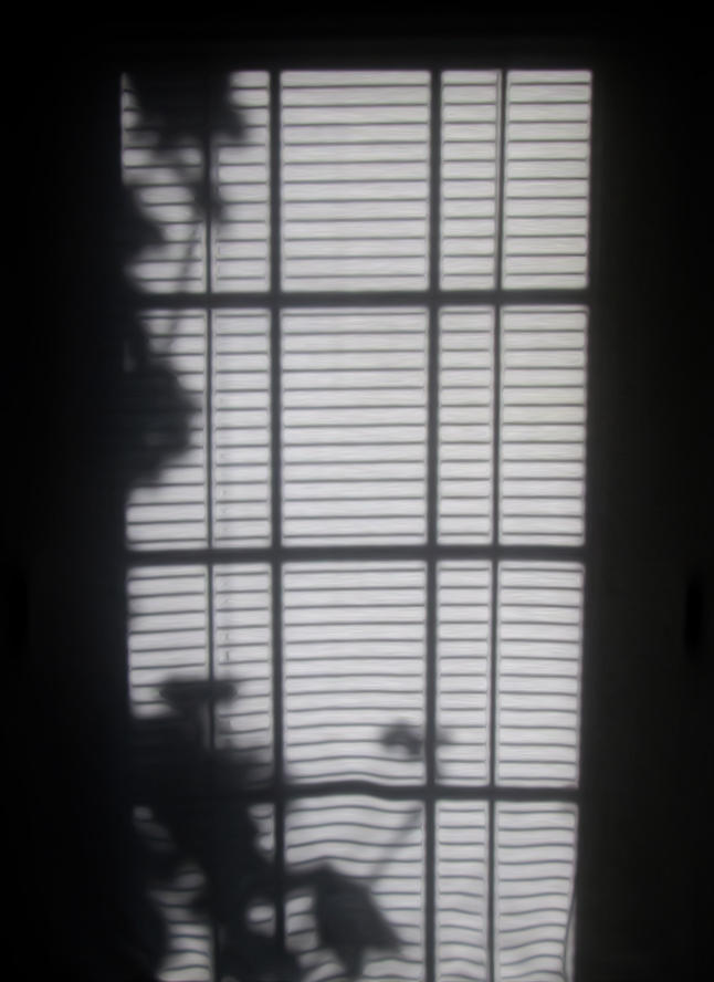 Woft Shadow Shadow by wotawota on DeviantArt