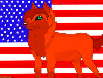 American  Wolf