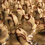 Oreo Truffles