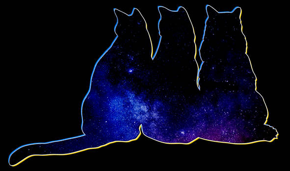 Galaxy Cats