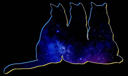 Galaxy Cats