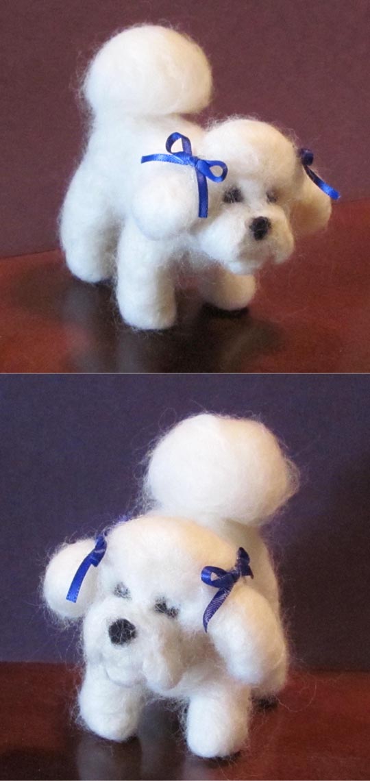 Bichon Frise 2