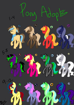 Pony adopts 5 points :OPEN: