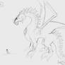 Dragon Species Sketch 1