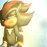 Shadow the hedgehog - Sonic Boom