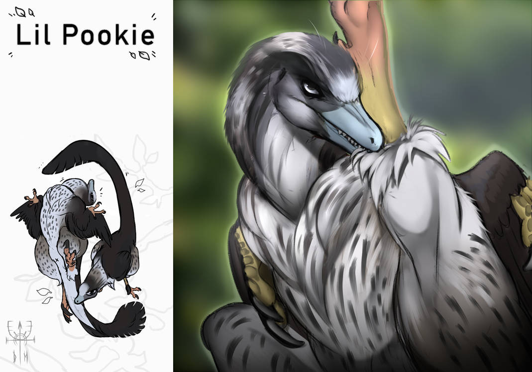Pookie Image Ribbion Birdie Pookie by Dimasaur24 on DeviantArt