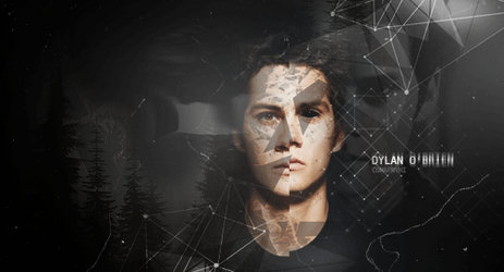 DARK Stiles signature