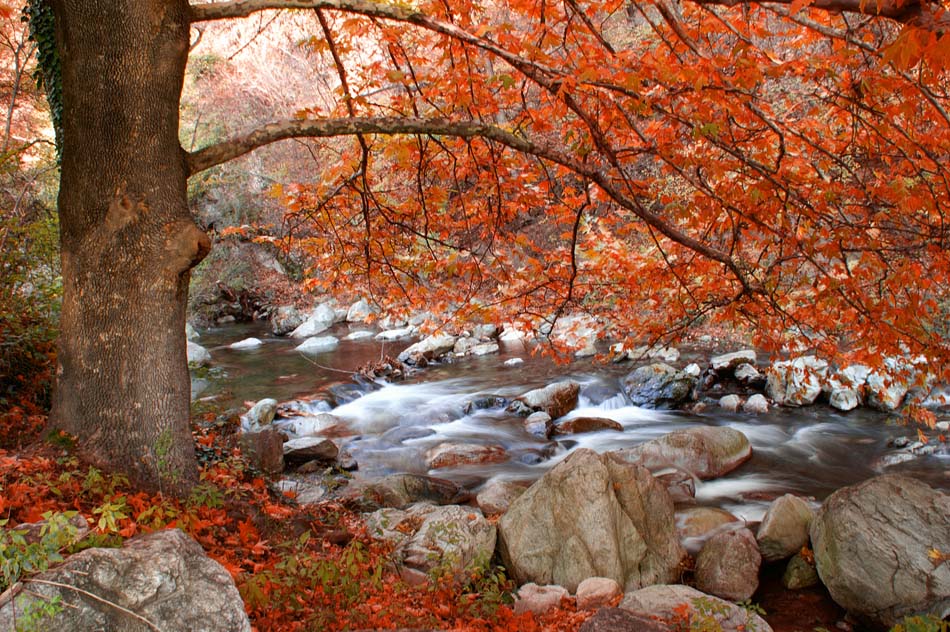 Bulgaria, Karlovo