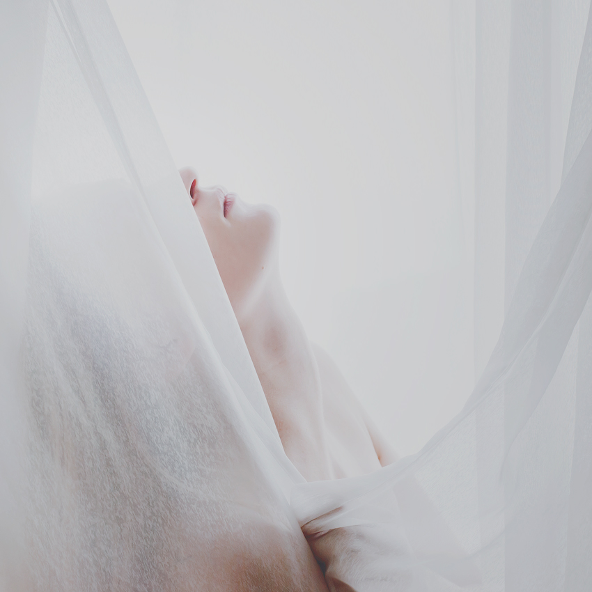 Love Dream by Bomb-Creator Love Dream by Bomb-Creator