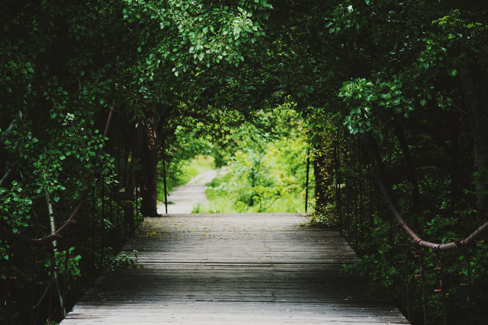 The bridge to dreams