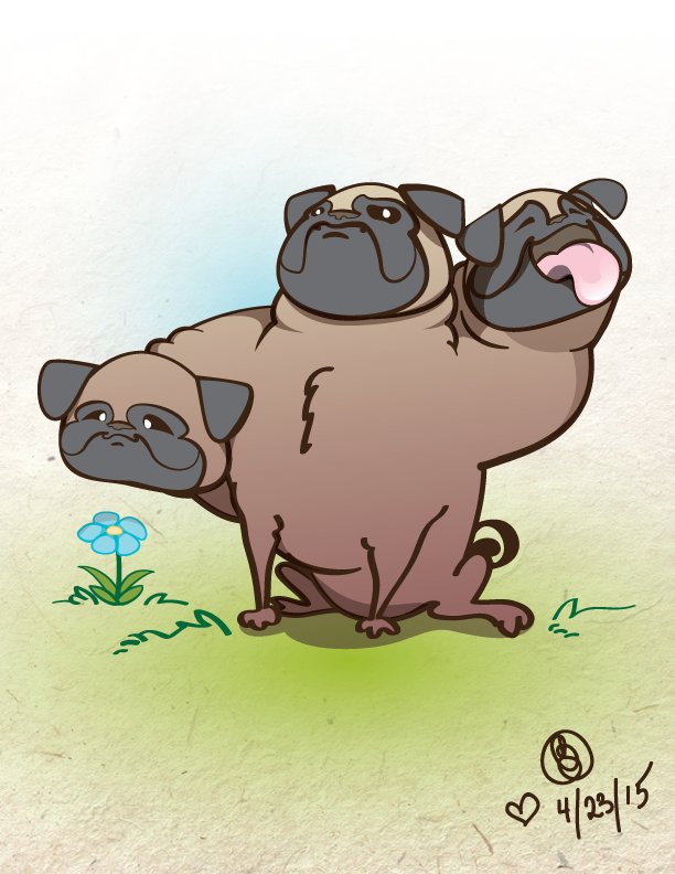 Pugberus