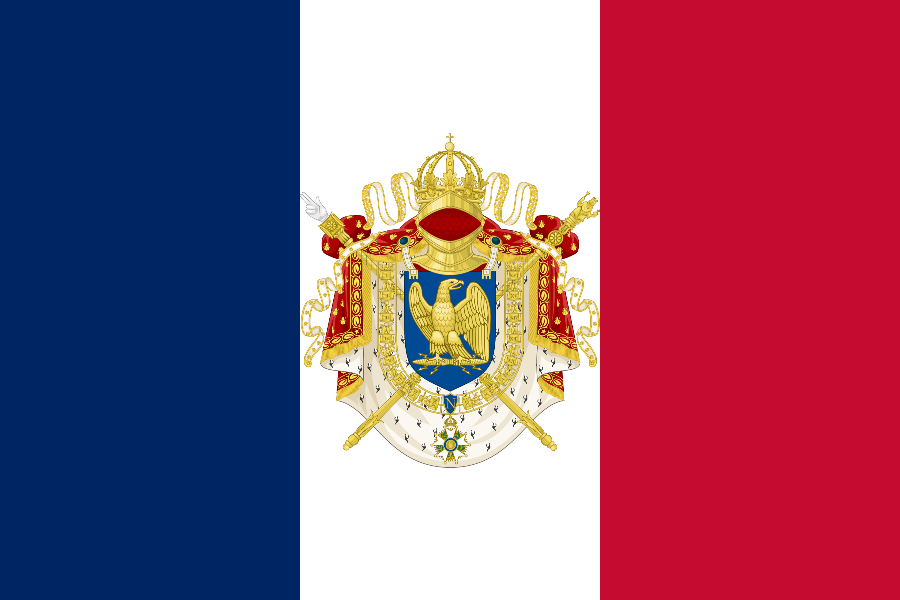 The year of the french. Флаг Франции Наполеона 1. Флаг французской империи 1812. Флаг наполеоновской Франции 1812. Флаг Франции 19 века при Наполеоне.