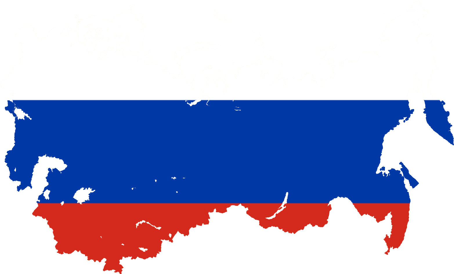 russian flag 1905