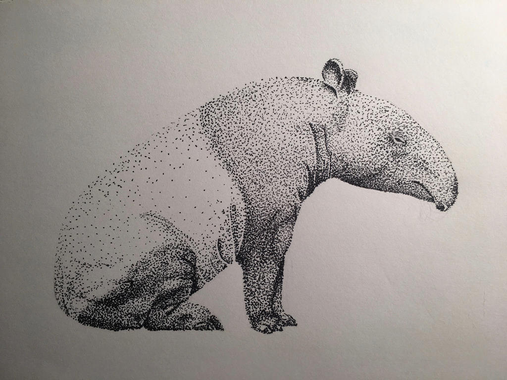 Tapir Pointillism