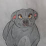Smoky bulldog
