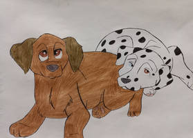 Puppies