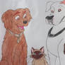 Homeward Bound: The Incredible Journey