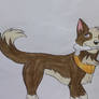 Beta The Dog