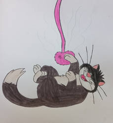 Lucifer And His catnip-scented Toy