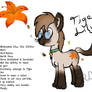 Introducing Tiger Lily! (New OC)