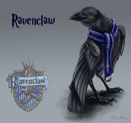 Ravenclaw