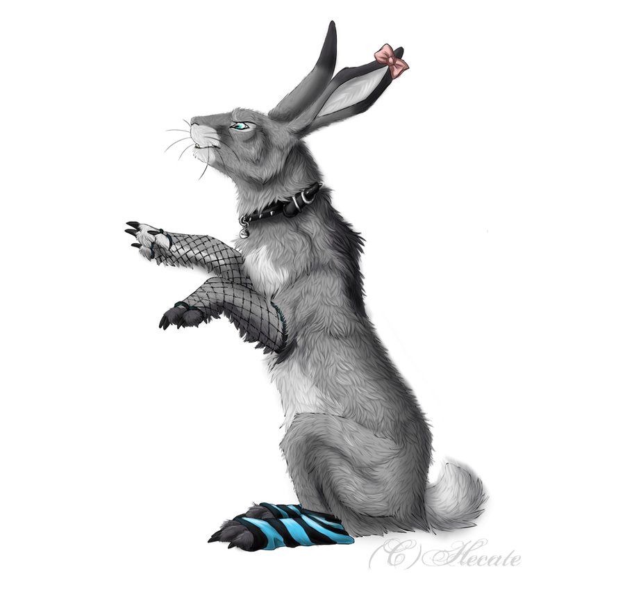 Letson Rabbit Leo the rabbit by hecatehell on DeviantArt