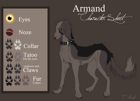 Armand Character sheet