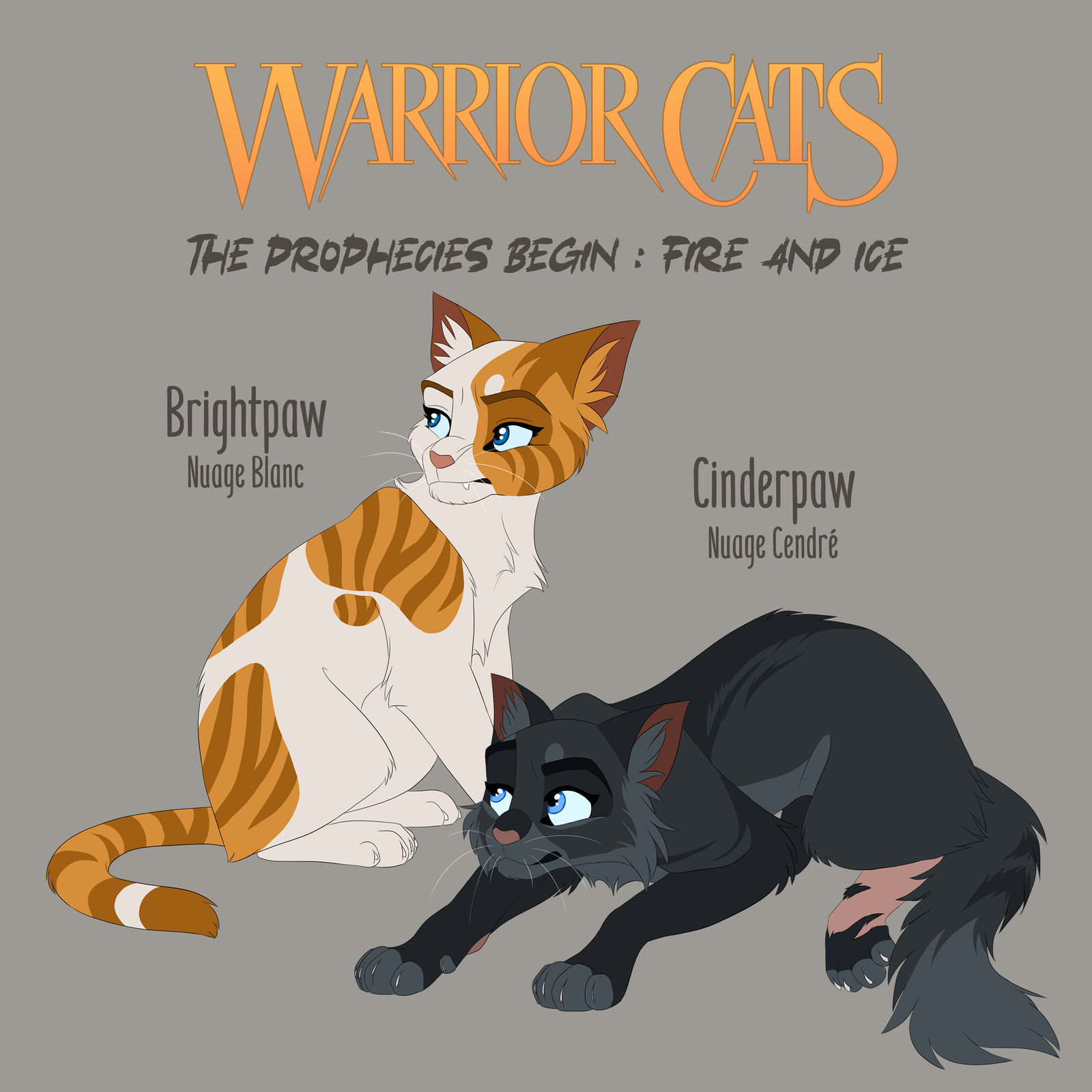 Apprentice Warrior Cat Names at Paige Cosgrove blog