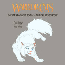 Warrior cats -  Cloudpaw