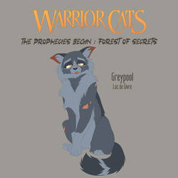 Warrior cats -  Greypool