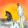 balto and aniu