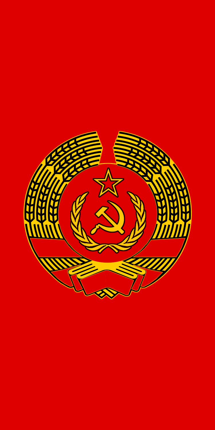 Banner of the Premier of the New USSR (Simplified)