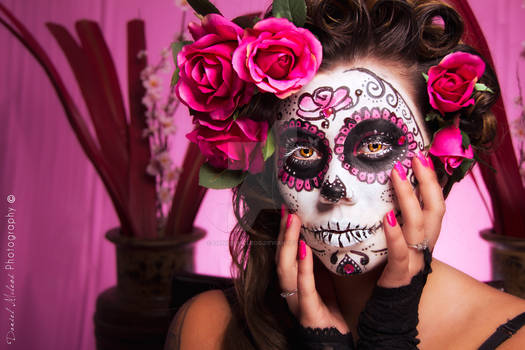 Star Sugar Skull Shoot 3