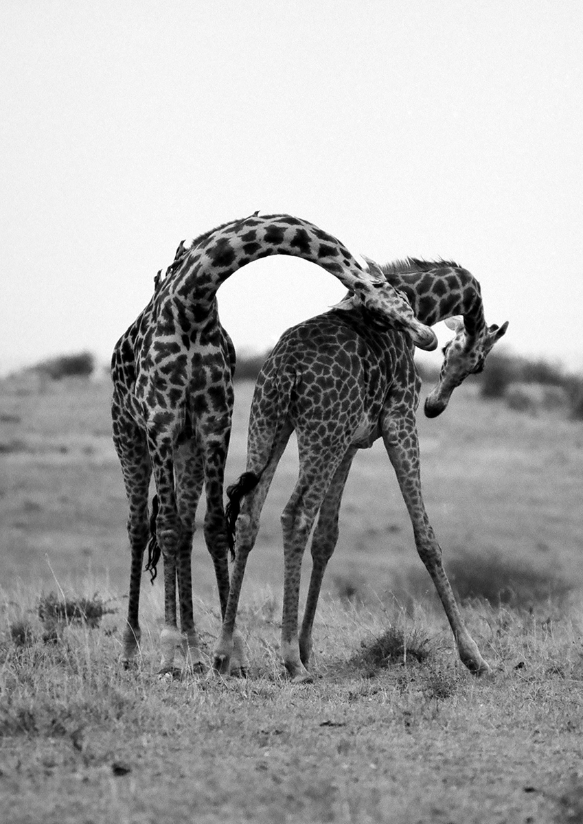 Necking