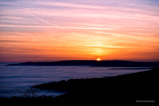 Valley of fog