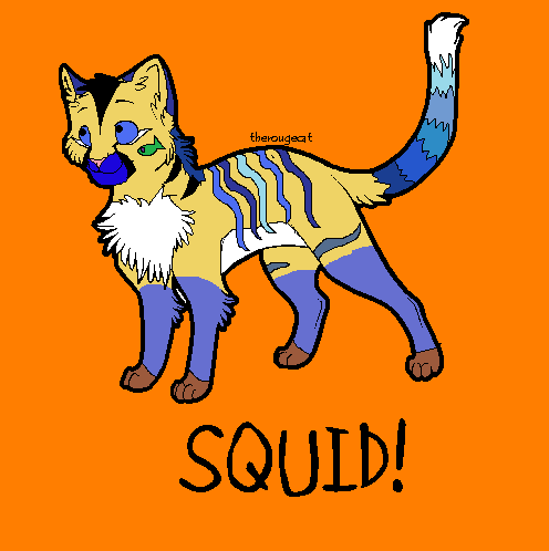 Design Me Pets Competition- SQUID