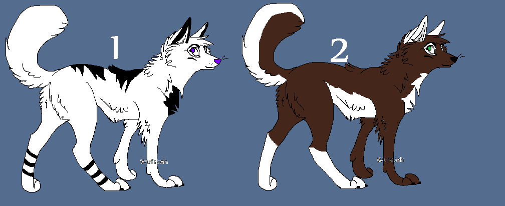 Cheap Wolf Adopts