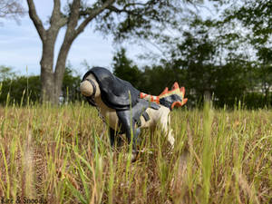 On the Prairie