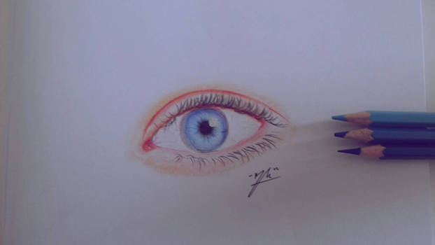 Human Eye