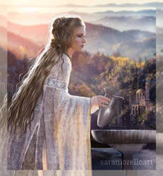 The mirror of Galadriel