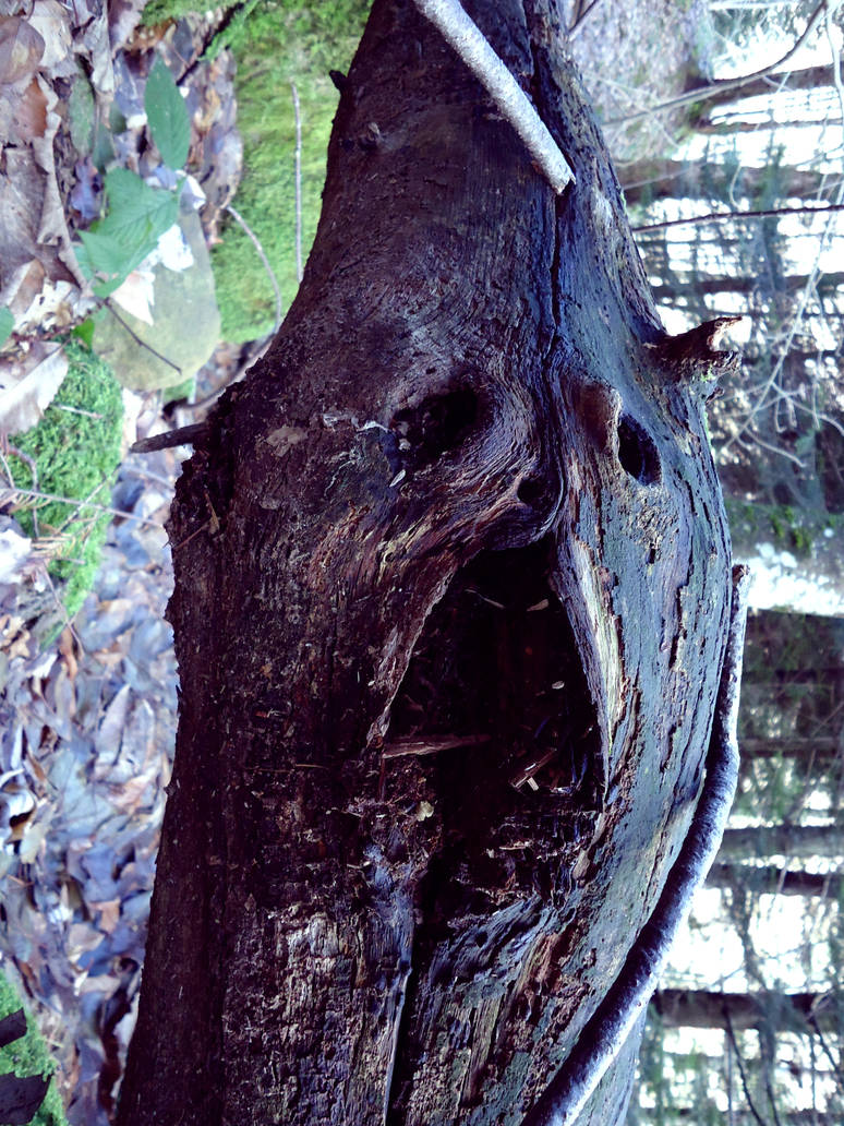 Demoni tree by Narcyssus-of-Ghes on DeviantArt