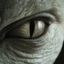 One More Alien Eye