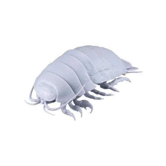 Giant Isopod by bigmonsterdark on DeviantArt