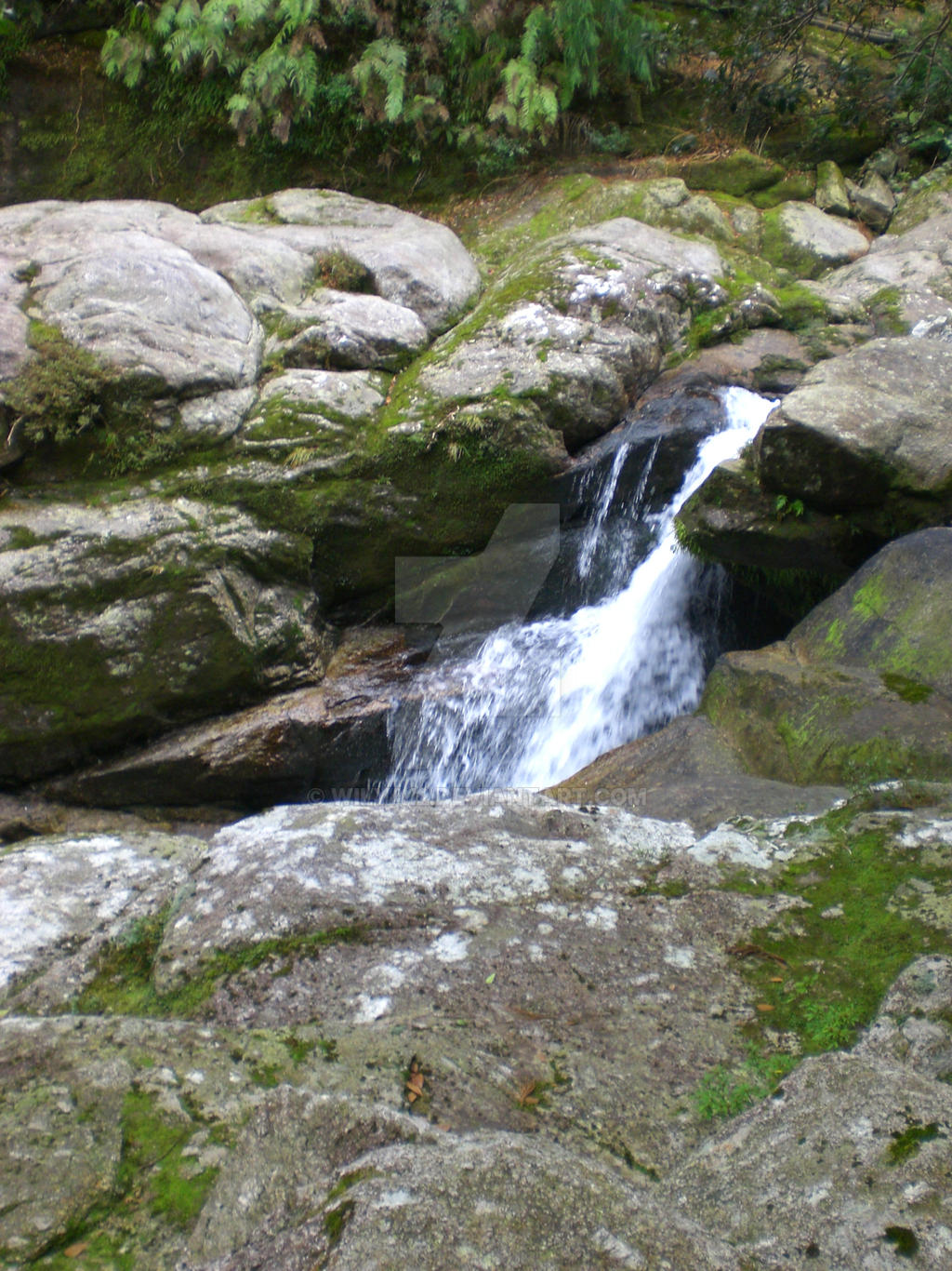 small waterfall in Yakushima