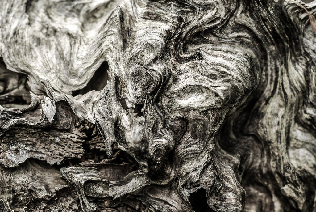 wood line by Rrobert wood line by Rrobert