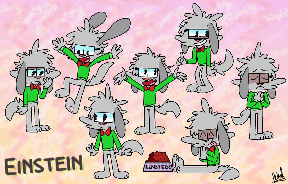 DOMESTICATED - Einstein the Dog by IkkySubmits on DeviantArt